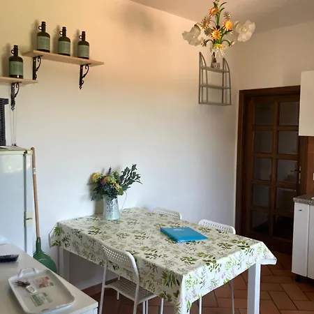 Apartment Piazza Di 1